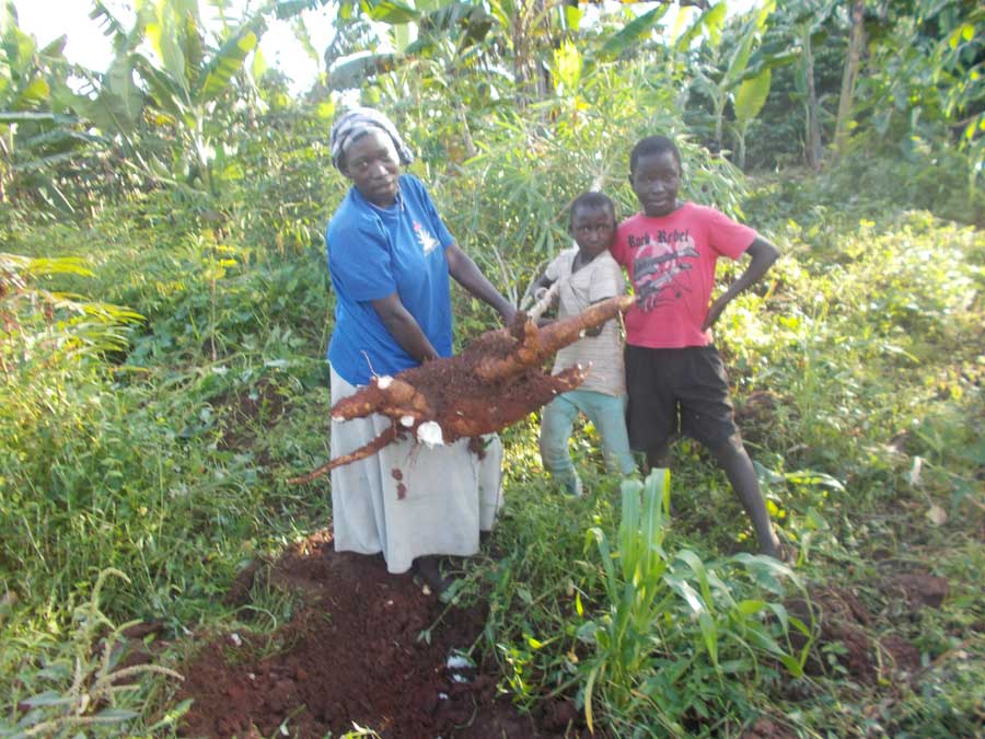 farmersfamiliesfutureuganda0106