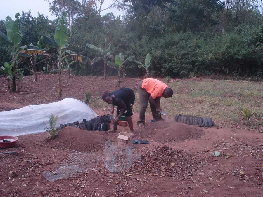 farmersfamiliesfutureuganda06226