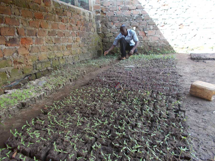 farmersfamiliesfutureuganda0231