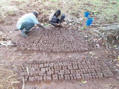 farmersfamiliesfutureuganda0051