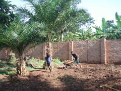 farmersfamiliesfutureuganda05497